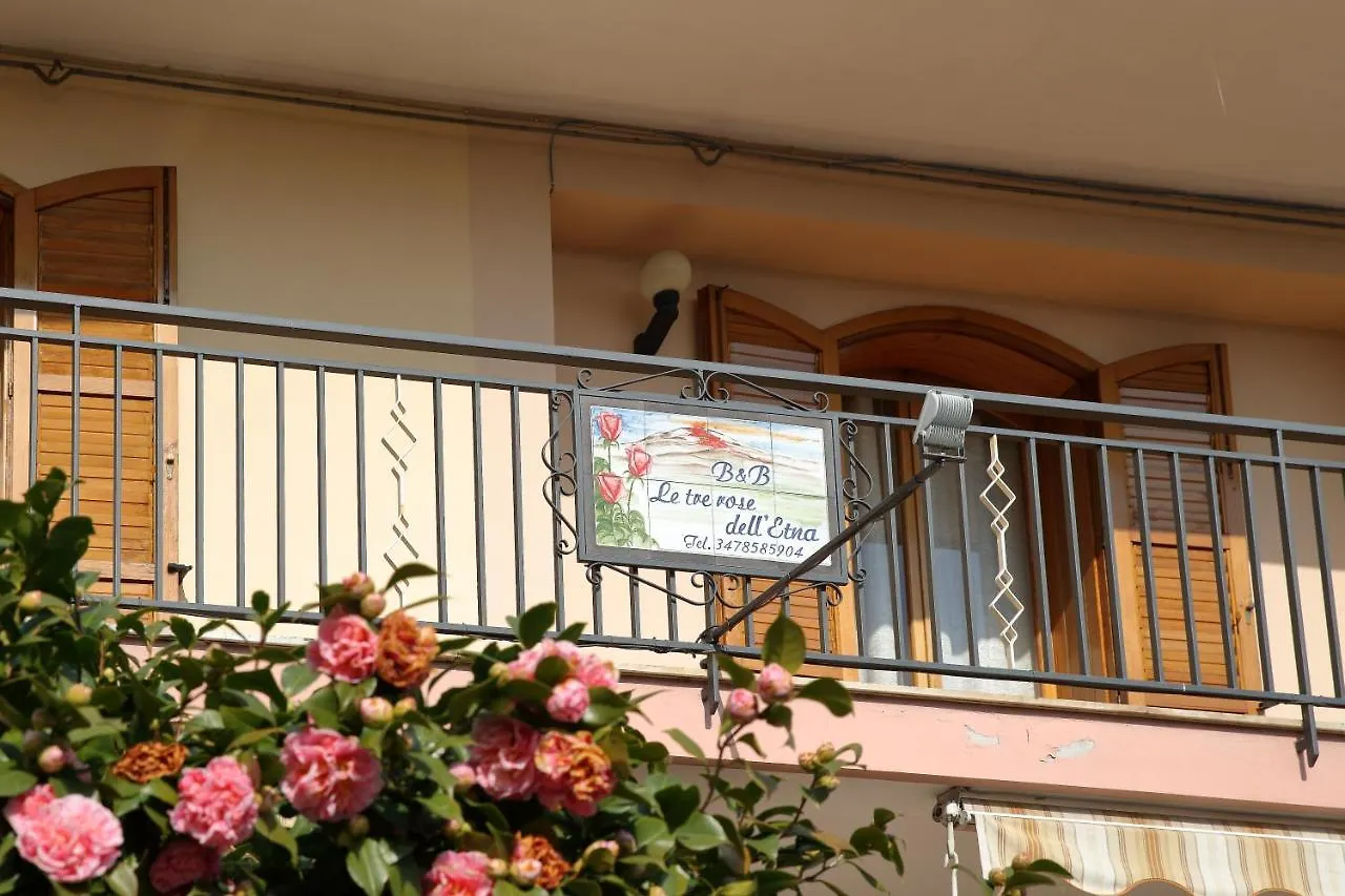 Bed & Breakfast B&B Le Tre rose dell'Etna Zafferana Etnea